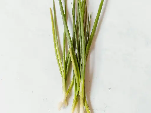蔥